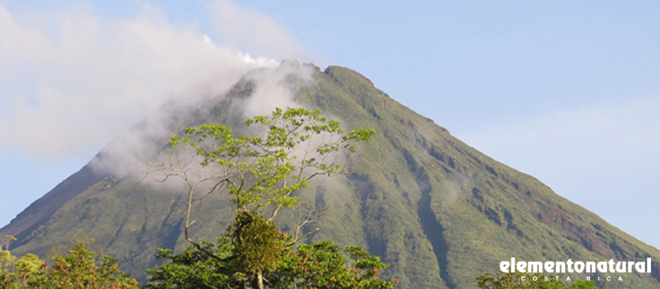 lear-spanis-in-costa-rica