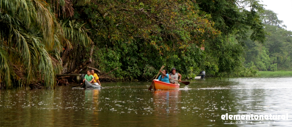 your-trip-to-caribbean-paradise-starts-with-tortuguero